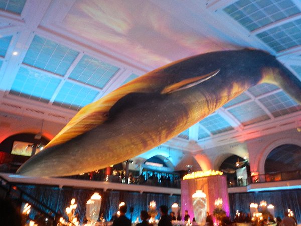 Game of Thrones Season Premiere party at AMNH NYC 2014